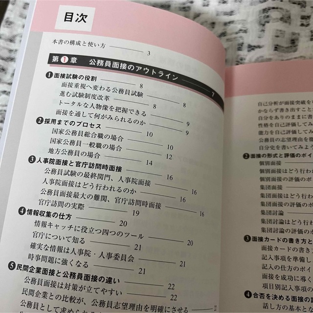 公務員の面接採用試験　国家公務員　就活 エンタメ/ホビーの本(資格/検定)の商品写真