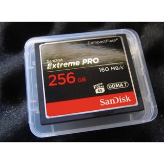 SanDisk - 【早い者勝ち】 SanDisk サンディスク CFカード　256GB