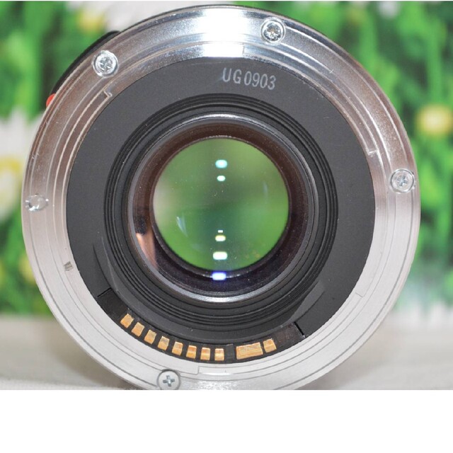 【美品】キャノン Canon COMPACT MACRO EF50 F2.5