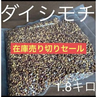 ダイシモチ玄麦1.8キロ(米/穀物)