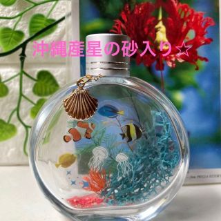 ハーバリウム　アクアリウム　クラゲ &熱帯魚237☆*:.。(その他)