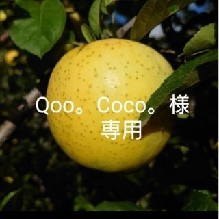 【Qoo。Coco。様専用】サンふじ(フルーツ)