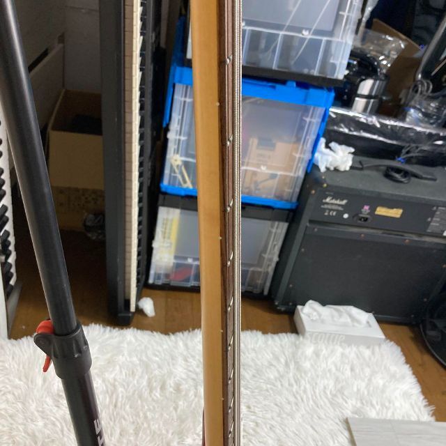 【5024】 FGN フジゲン precision bass 赤 富士弦