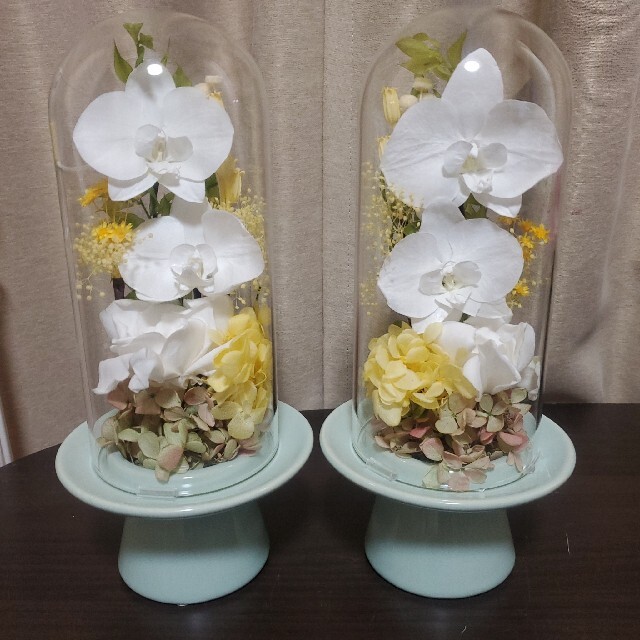 豪華 特選仏花 造花無し 胡蝶蘭 ガラスドーム 大 一対 プリザーブド