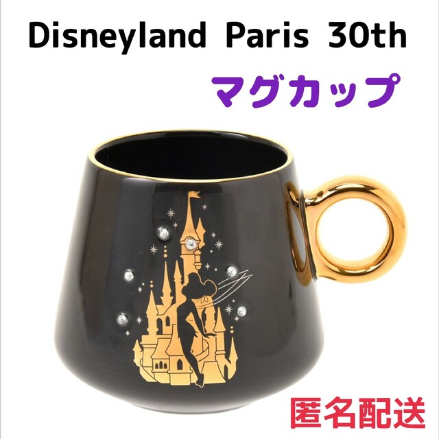 ディズニーランドパリ 30周年記念 スターバックス マグカップ - グラス