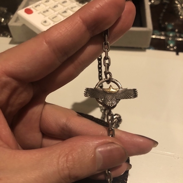 鷲見太郎太角50センチ