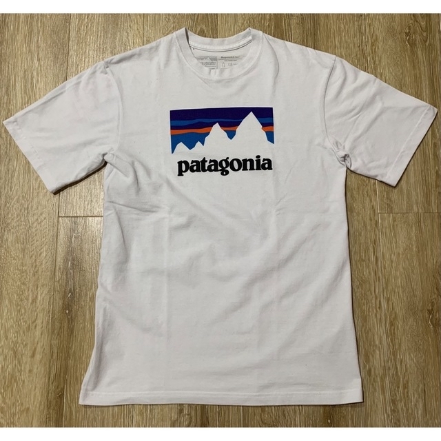 patagonia(パタゴニア)のPatagonia Tシャツ メンズのトップス(Tシャツ/カットソー(半袖/袖なし))の商品写真