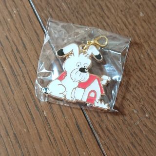 シモジマ(SHIMOJIMA)のシモジマ ガチャ ★ ストップペイル DOG(その他)