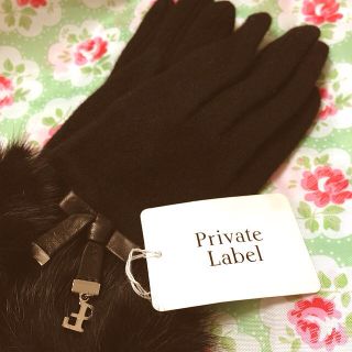 プライベートレーベル(PRIVATE LABEL)のPrivate Labelの手袋(手袋)