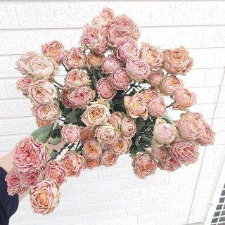 angelene様専用　薔薇　ドライフラワー(ドライフラワー)