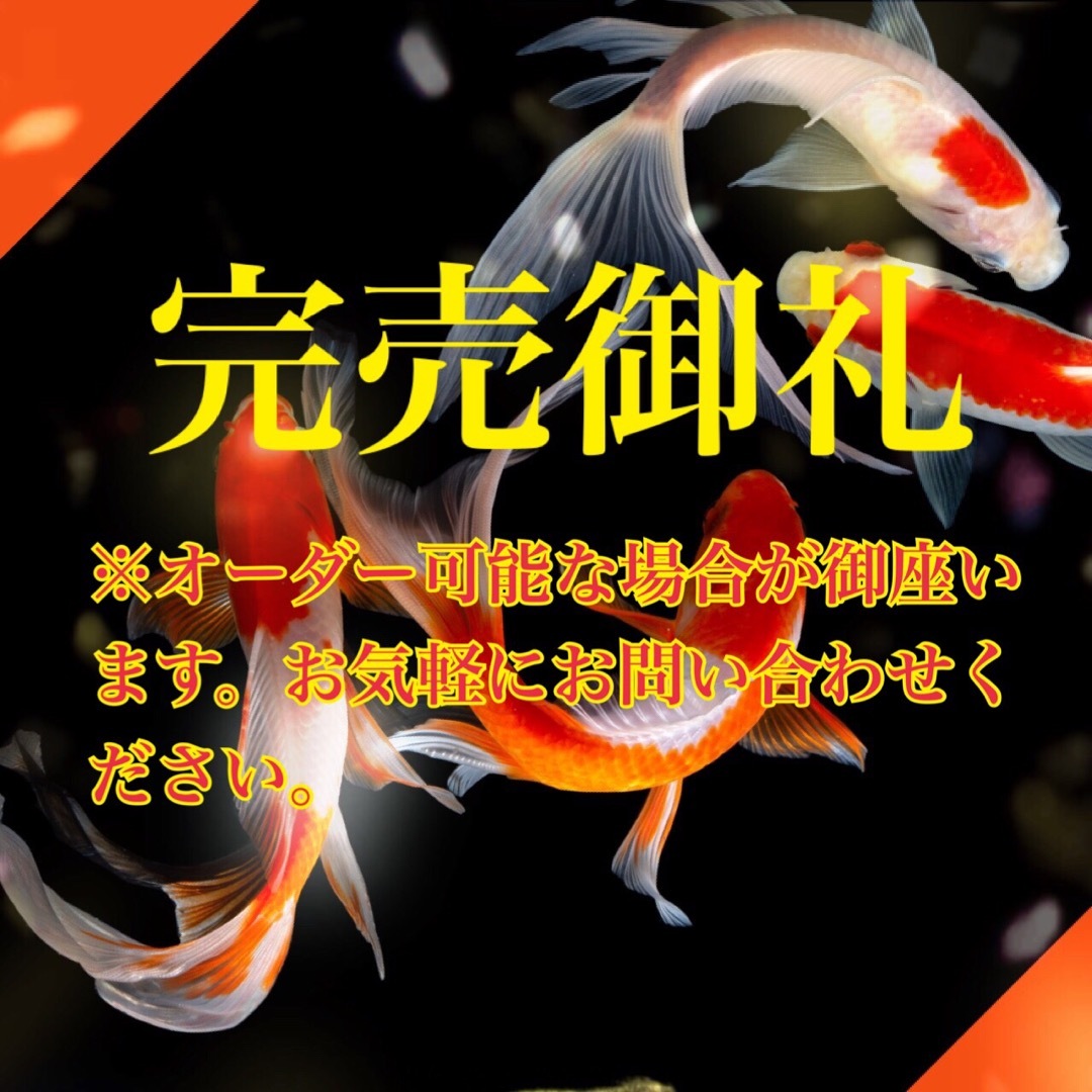 龍鳳凰 迫力◆❖金運と恋愛御守り❖◆ 龍神 白蛇 鳳凰 かっこいい 力強い