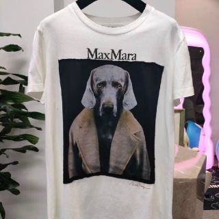 WEB限定デザイン MAX MARA Tシャツ 半袖Tシャツ ドッグ 犬M / マックス