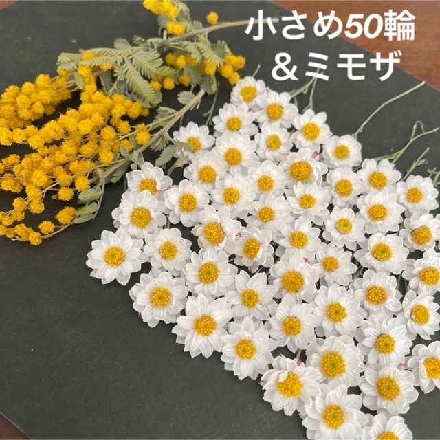 小さめ花かんざし&ミモザドライフラワー ハンドメイドのフラワー/ガーデン(ドライフラワー)の商品写真