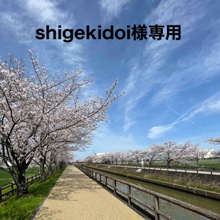 shigekidoi様専用(置物)