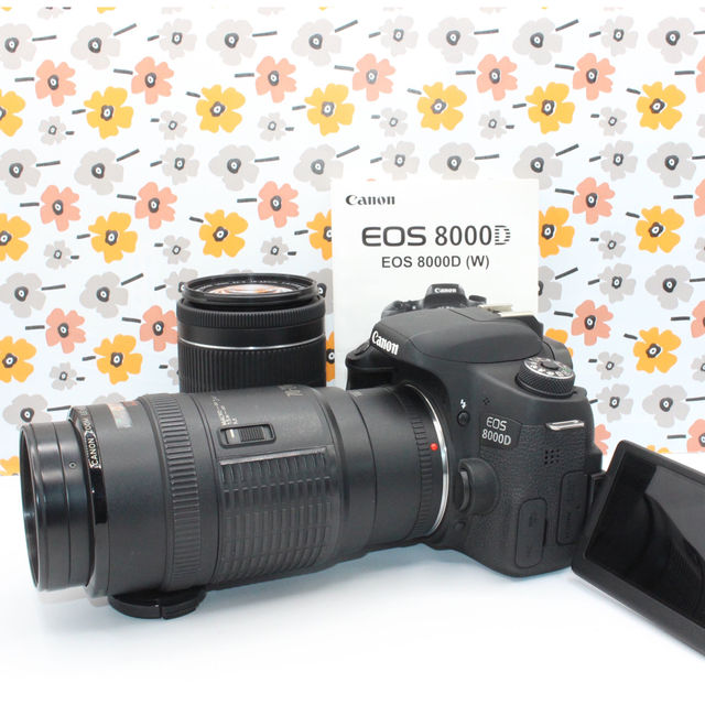 ショット極小、傷極小の極上美品❤️Canon EOS 8000D | labiela.com