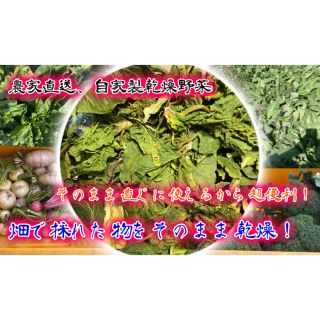 農家自家製お任せ乾燥野菜　200g！(野菜)