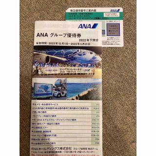 エーエヌエー(ゼンニッポンクウユ)(ANA(全日本空輸))のANA 株主優待券　一枚(その他)