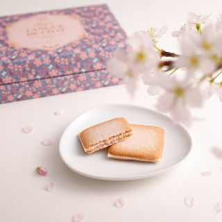 イシヤセイカ(石屋製菓)のさき　様専用(菓子/デザート)