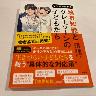 マンガでわかる境界知能とグレーゾーンの子どもたち(人文/社会)