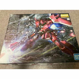 バンダイ(BANDAI)のガンプラ ガナーザクウォーリア MG(プラモデル)