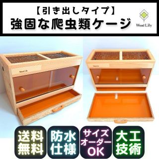 【なおう様 専用ページ】強固な爬虫類「引き出し」ケージ◇600×400×H900(爬虫類/両生類用品)