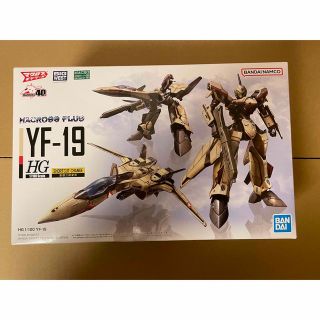 マクロスプラス HG 1/100 YF-19(その他)