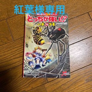 カドカワショテン(角川書店)のどっちが強いX ハチVSクモ、コブラVSガラガラヘビ(少年漫画)