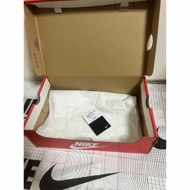 最安価格 極美品!NIKE LOW WMENS DUNK ナイキ COAST DUNK LOW ダンク