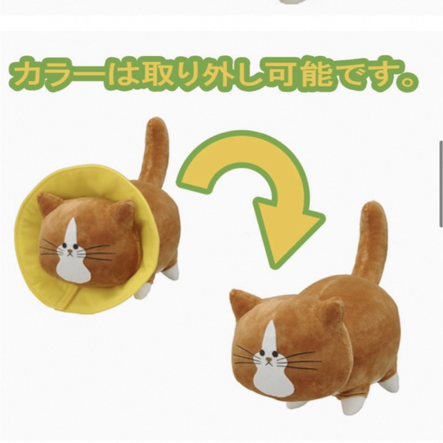 猫のぽんた　ぬいぐるみ エンタメ/ホビーのおもちゃ/ぬいぐるみ(ぬいぐるみ)の商品写真