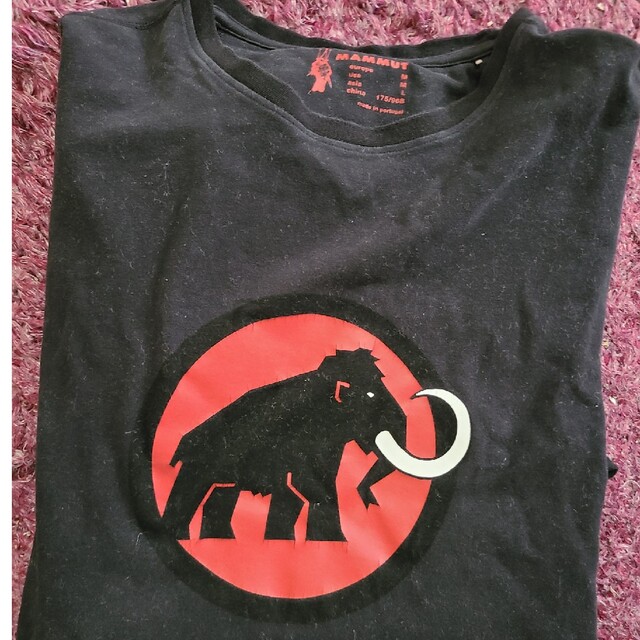 Mammut(マムート)の専用 メンズのトップス(Tシャツ/カットソー(七分/長袖))の商品写真