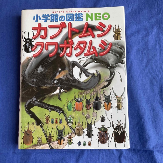 カブトムシ・クワガタムシ エンタメ/ホビーの本(絵本/児童書)の商品写真