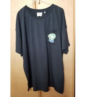 チチカカ(titicaca)のチチカカ　キウイ🥝Tシャツ🥝ビックサイズ(Tシャツ(半袖/袖なし))