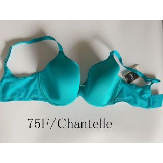 75F☆Chantelle シャンテル　フランス　高級　海外ランジェリー　ブルー(ブラ)