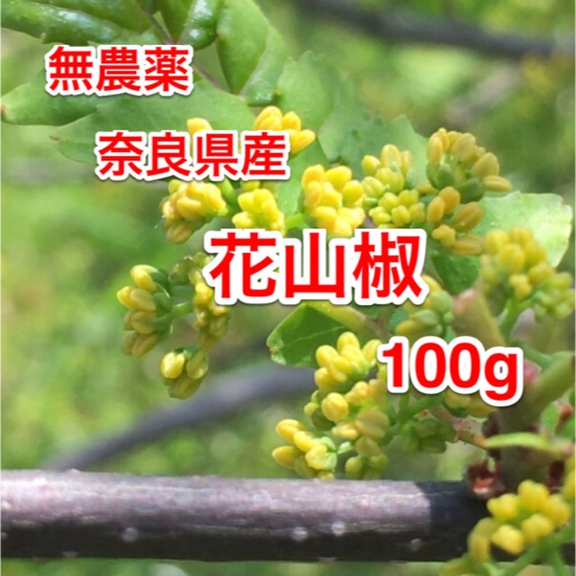 野菜花山椒 無農薬 100g 奈良県産