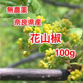 花山椒 無農薬 100g 奈良県産(野菜)