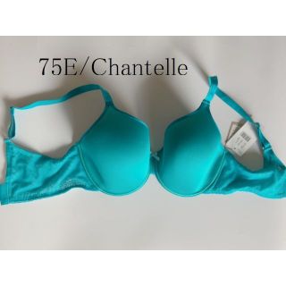 75E☆Chantelle シャンテル　フランス　高級　海外ランジェリーブルー系(ブラ)