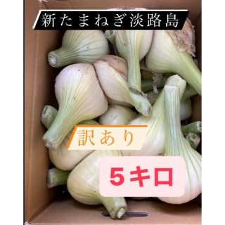 新たまねぎ　淡路島　訳あり5キロ(野菜)