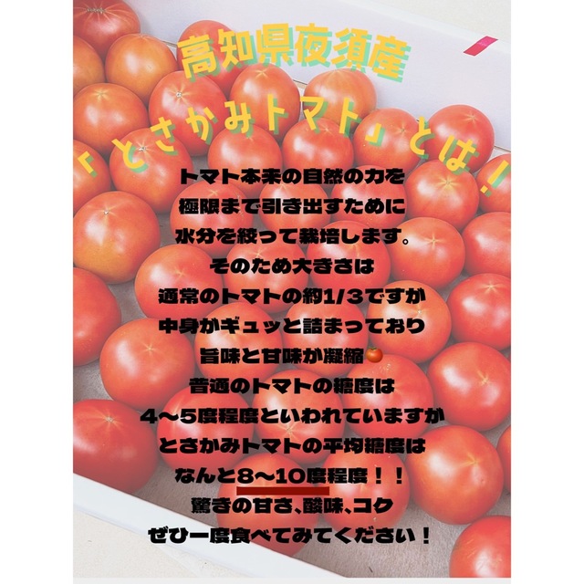 夜須のフルーツトマト 高知県夜須産 土佐香美 高糖度 15〜25玉 食品/飲料/酒の食品(野菜)の商品写真