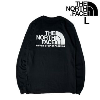 ザノースフェイス(THE NORTH FACE)のノースフェイス 長袖 Tシャツ US限定 ハーフドームロゴ(L)黒 180902(Tシャツ/カットソー(七分/長袖))