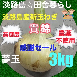感謝セール✨淡路島産新玉ねぎ3kg 貴錦 農薬不使用 高糖度 夢玉(野菜)