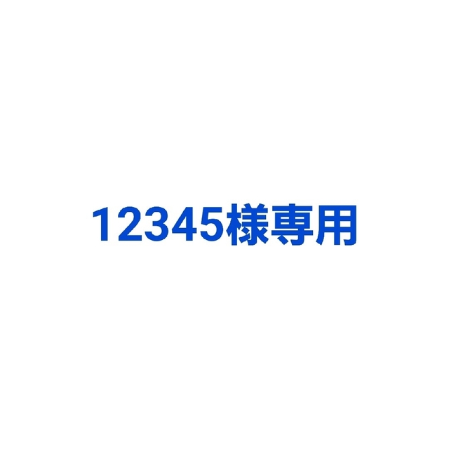 専用12345