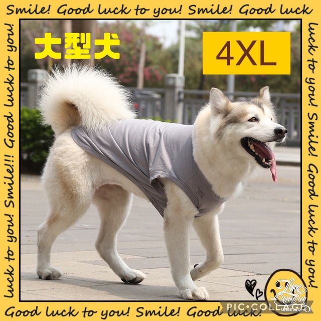 4XL ドッグウェア 犬服 グレー Tシャツ 無地 シンプル 綿100% 大型犬 | フリマアプリ ラクマ