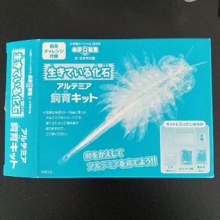 ショウガクカン(小学館)の小学8年生 付録 アルテミア(知育玩具)