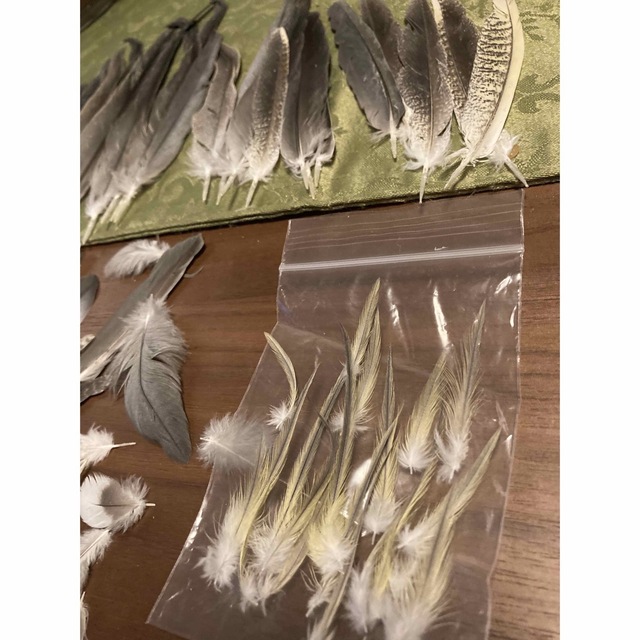 <コザクラインコの羽、インコのおもちゃなども出品中>   オカメインコ の羽 ハンドメイドの素材/材料(各種パーツ)の商品写真