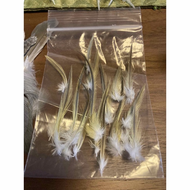 <コザクラインコの羽、インコのおもちゃなども出品中>   オカメインコ の羽 ハンドメイドの素材/材料(各種パーツ)の商品写真