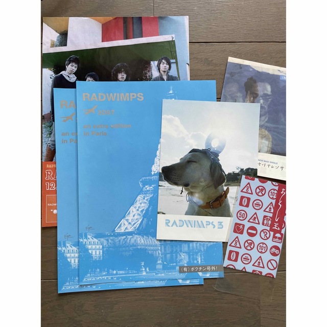 RADWIMPS チラシ配布物セット エンタメ/ホビーのタレントグッズ(ミュージシャン)の商品写真