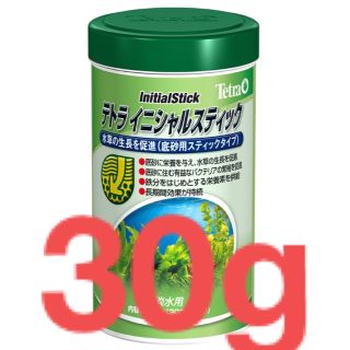 テトラ(Tetra)のテトラ　イニシャルスティック　30g(アクアリウム)