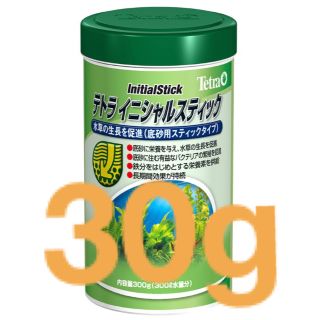 テトラ(Tetra)のテトラ　イニシャルスティック　30g(アクアリウム)