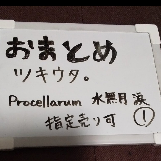 壱【ツキウタ。 涙 プロセラ】ツキウタ。Procellarum 水無月涙 グッズ