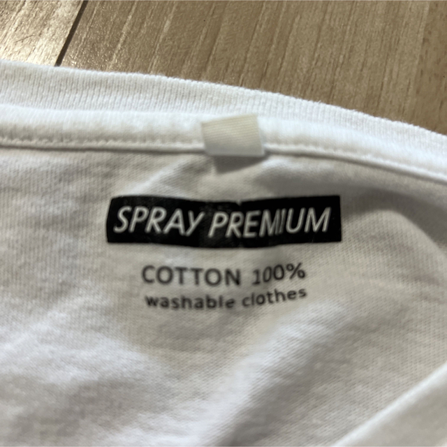 SpRay(スプレイ)のSPRAY PREMIUM 半袖Tシャツ レディースのトップス(Tシャツ(半袖/袖なし))の商品写真